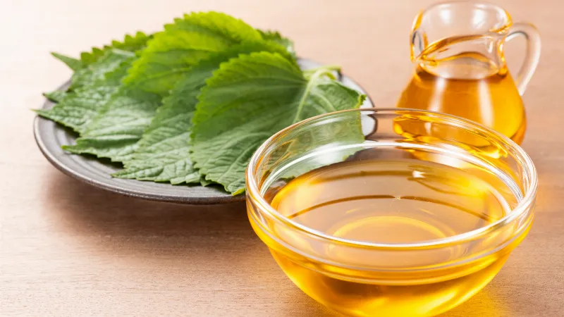 Cách bảo quản mặt nạ tía tô tự làm trong tủ lạnh để giữ tươi và hiệu quả