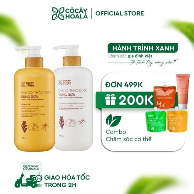 Quá trình chiết xuất dầu nước xanh từ thảo dược