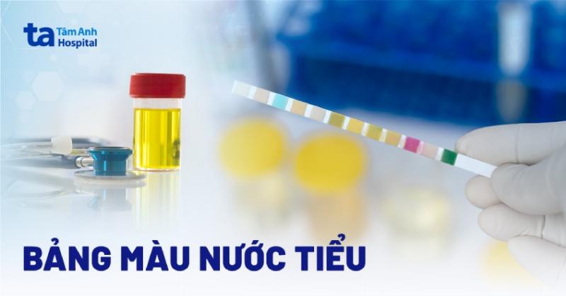 Mau nau dam la mau gi tren bang mau va cac sac thai lien quan