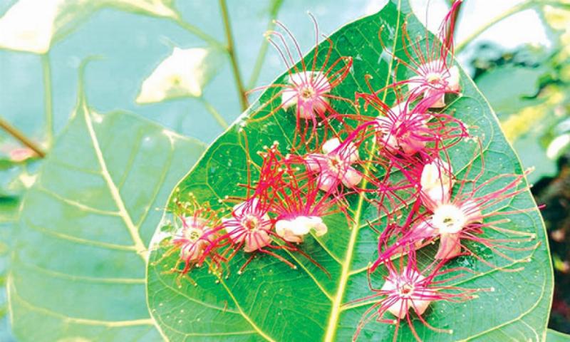 Trân trọng điều nhỏ bé