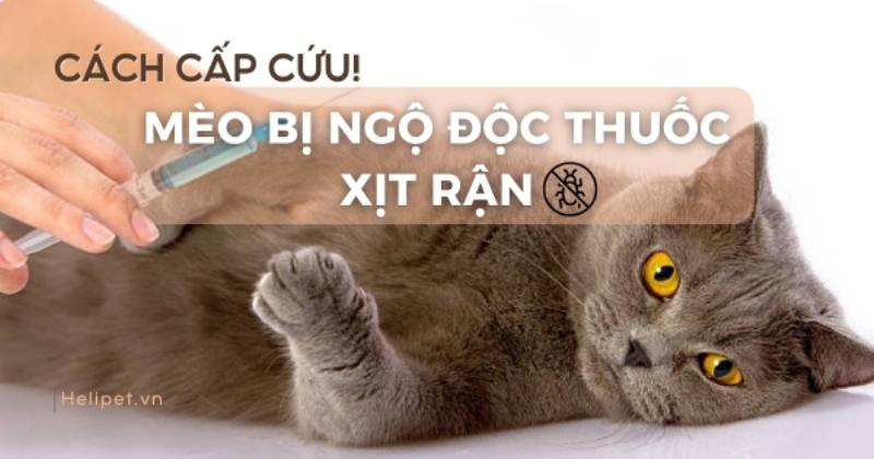 Các bước vệ sinh vòng đeo cu sau khi sử dụng để đảm bảo sạch sẽ và an toàn
