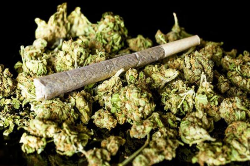 Do hoa minh hoa cac cong dung tiem nang khac nhau cua cbd oil doi voi suc khoe