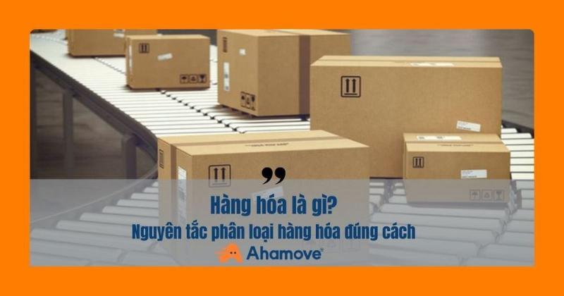Minh họa cách sắp xếp trang sức hiệu quả trong hộp, phân loại theo loại và chất liệu.