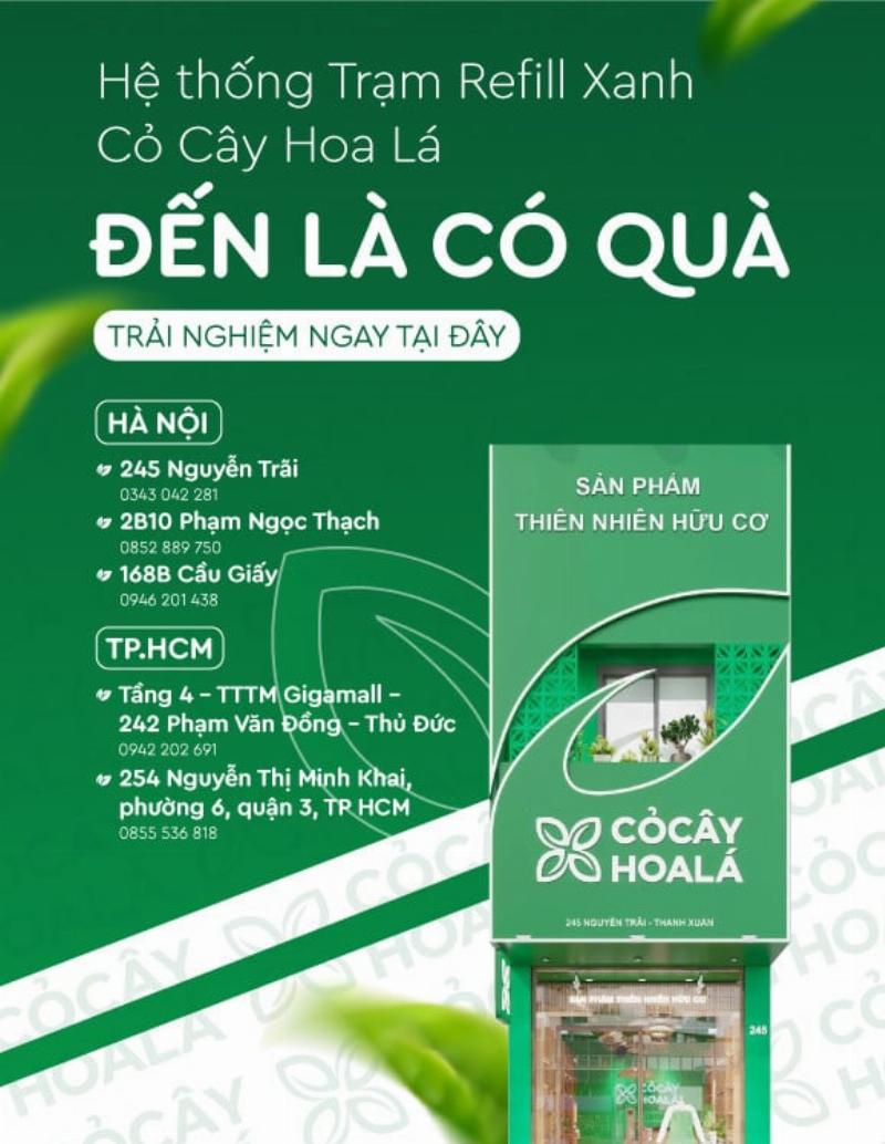 Hình ảnh các sản phẩm chăm sóc tóc bạch kim nam điển hình: dầu gội tím, dầu xả dưỡng ẩm, mặt nạ tóc phục hồi, serum dưỡng tóc. Bối cảnh phòng tắm sạch sẽ.