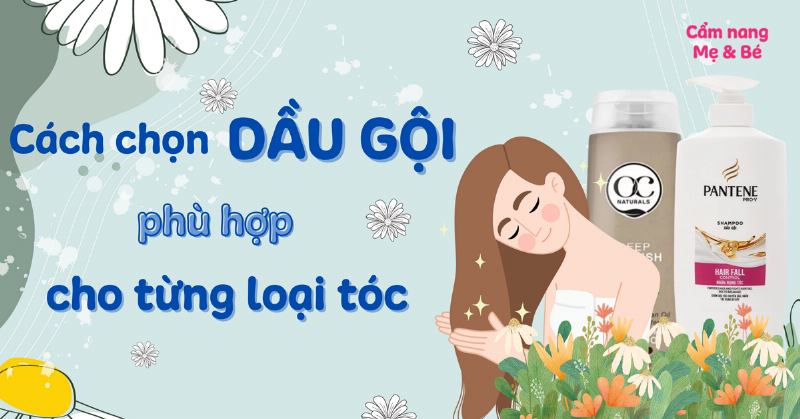 Cách chọn dầu gội olive phù hợp với loại tóc