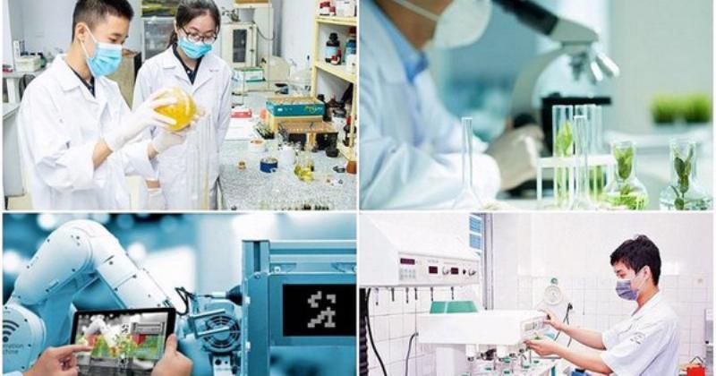 Một chuyên gia tư vấn về cách sắp xếp hành lý hiệu quả