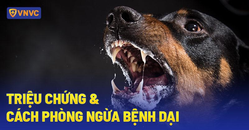 Nguoi dang tim kiem thong tin ve dai luc hoang tren mang
