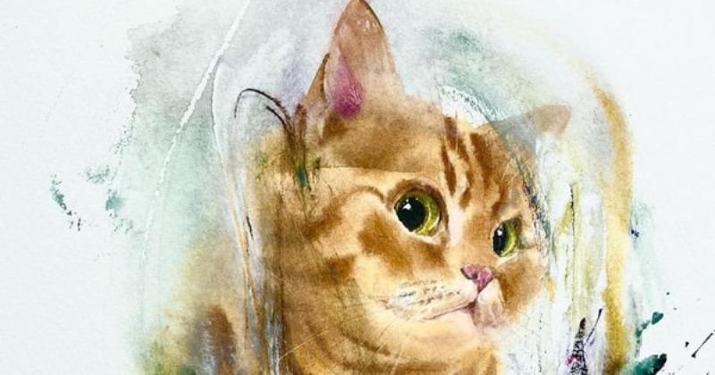 Hình ảnh đại diện chai dầu gió Phật Linh màu xanh lá quen thuộc trong đời sống