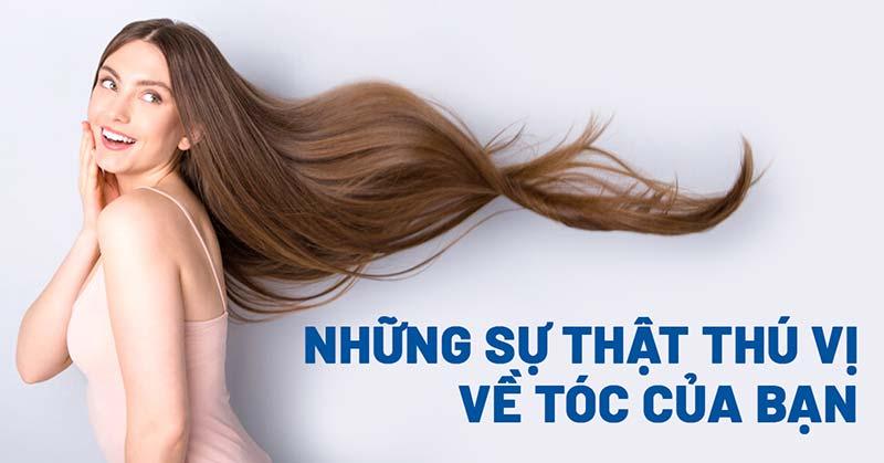 Hình ảnh minh họa sự khác biệt giữa dầu hấp tóc và dầu xả về kết cấu và cách hoạt động