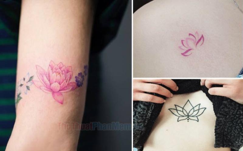 Hình xăm hoa sen đơn giản trên vai nữ, biểu tượng của sự thuần khiết và thanh tịnh