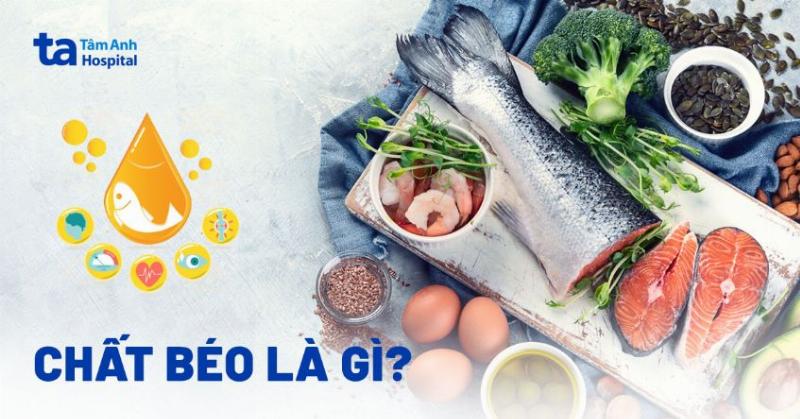 Biểu đồ hoặc đồ họa minh họa cách lá nam có thể hỗ trợ giảm cân thông qua các cơ chế như tăng cường trao đổi chất, giảm hấp thu mỡ, hoặc đào thải độc tố, kèm theo ghi chú về sự cần thiết của lối sống lành mạnh