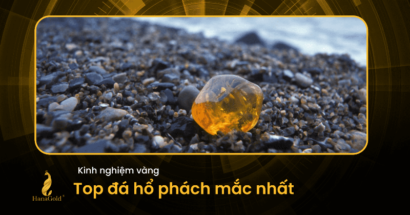Một đôi mắt hổ phách cận cảnh với sắc vàng đồng rực rỡ và đồng nhất, thể hiện vẻ đẹp độc đáo và hiếm gặp.
