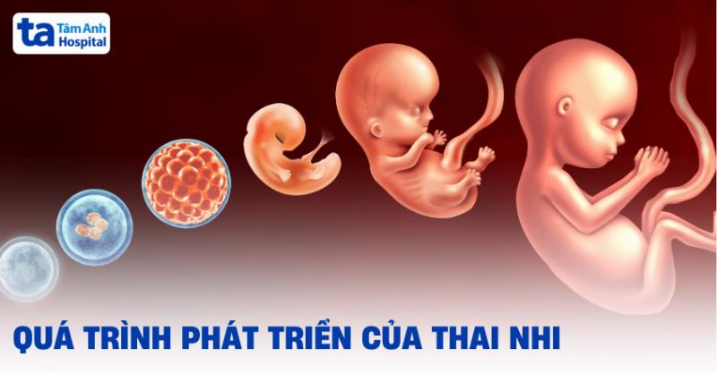 Hinh anh me bau cham soc da toan dien trong thai ky