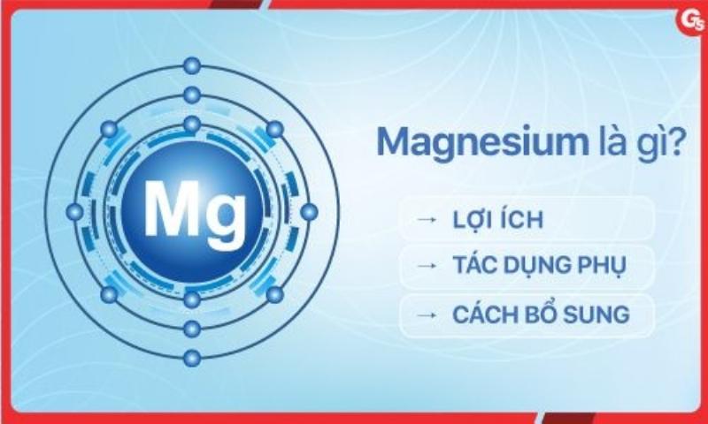 Hình ảnh minh họa các thành phần phổ biến trong nhuận tràng Nhật như lợi khuẩn, chất xơ, thảo dược, và magnesium oxide.