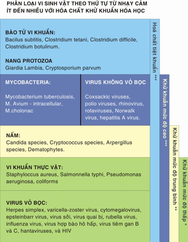 Biểu đồ hoặc danh sách so sánh ưu điểm và nhược điểm của Betadine phụ khoa